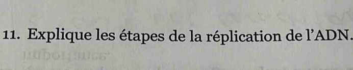 Explique les étapes de la réplication de l'ADN.