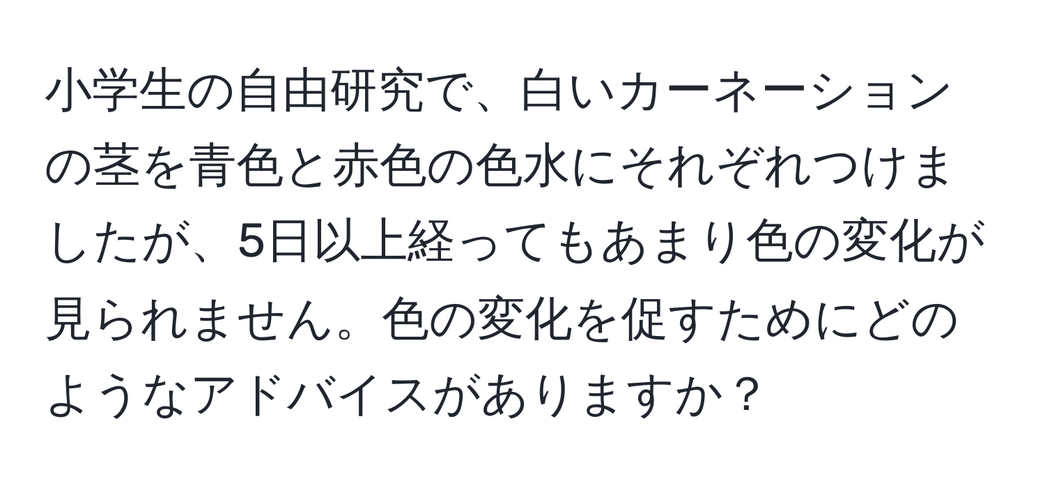 小学生の自由研究で、白いカーネーションの茎を青色と赤色の色水にそれぞれつけましたが、5日以上経ってもあまり色の変化が見られません。色の変化を促すためにどのようなアドバイスがありますか？