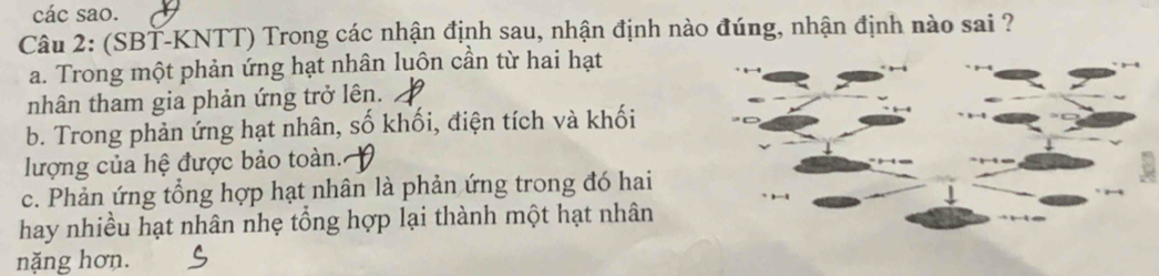 các sao.
Câu 2: (SBT-KNTT) Trong các nhận định sau, nhận định nào đúng, nhận định nào sai ?
a. Trong một phản ứng hạt nhân luôn cần từ hai hạt
nhân tham gia phản ứng trở lên.
b. Trong phản ứng hạt nhân, số khối, điện tích và khối
lượng của hệ được bảo toàn.
c. Phản ứng tổng hợp hạt nhân là phản ứng trong đó hai
hay nhiều hạt nhân nhẹ tổng hợp lại thành một hạt nhân
nặng hơn.