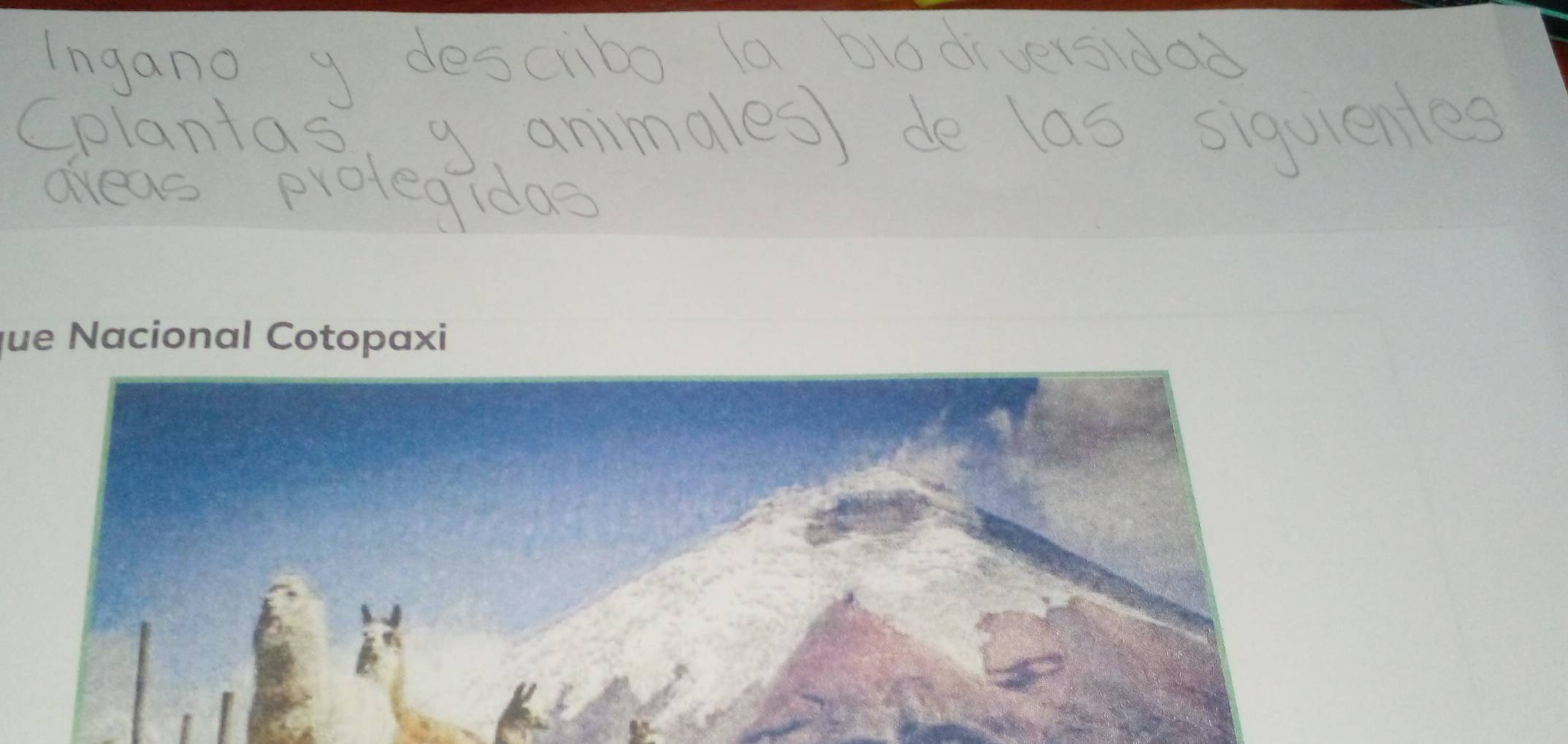 Ingano y descibo la bló diversidoo 
Cplantas, g. ammales) de las siguientes 
dreas protegidos