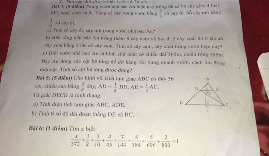 Tim các chữ số a; b biết 1a, b1=8, 7* a, b
Bài 4: (5 điểm) Trong vườn nhà bác An hiện nay trồng tất cá 98 cây gồm 4 loại: 
Mít, xoài, cam và ổi. Tổng số cây trong vườn bằng  7/3  số cây ối. Số cây mít bằng
 1/6  số cây ổi. 
a) Tinh số cây ổi, cây mít trong vườn nhà bác An? 
b) Biết rằng nều bác An trồng thêm 8 cây cam và bớt đi 2 cây xoài thì 8 lần số 
cây xoài bằng 3 lần số cây cam. Tính số cây cam, cây xoài trong vườn hiện nay? 
c) Biết vườn nhà bác An là hình chữ nhật có chiều dài 360m, chiều rộng 288m. 
Bác An đóng các cột bê tông để đỡ hàng rào xung quanh vườn, cách 3m đóng 
một cột. Tinh số cột bê tông được đóng? 
Bài 5: (5 điểm) Cho hình vẽ. Biết tam giác ABC có đáy 36
cm, chiều cao bằng  5/9  đáy; AD= 1/2 BD, AE= 1/3 AC. 
Tứ giác DECB là hình thang. 
a) Tính diện tích tam giác ABC, ADE. 
b) Tính tỉ số độ dài đoạn thắng DE và BC. 
Bải 6: (1 điểm) Tìm x biết:
 x/372 + 1/2 + 3/10 + 4/45 + 7/144 + 8/384 + 5/696 + 2/899 =1