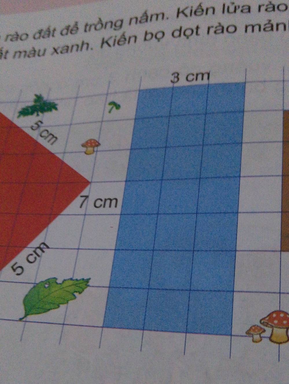 rào đất đễ trồng nấm. Kiến lửa rào
ất màu xanh. Kiến bọ dọt rào mản
3 cm
5 cm
7 cm
5 cm