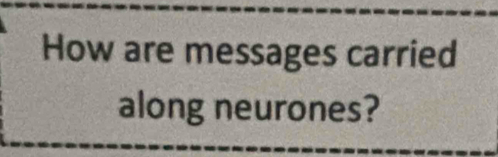 How are messages carried 
along neurones?