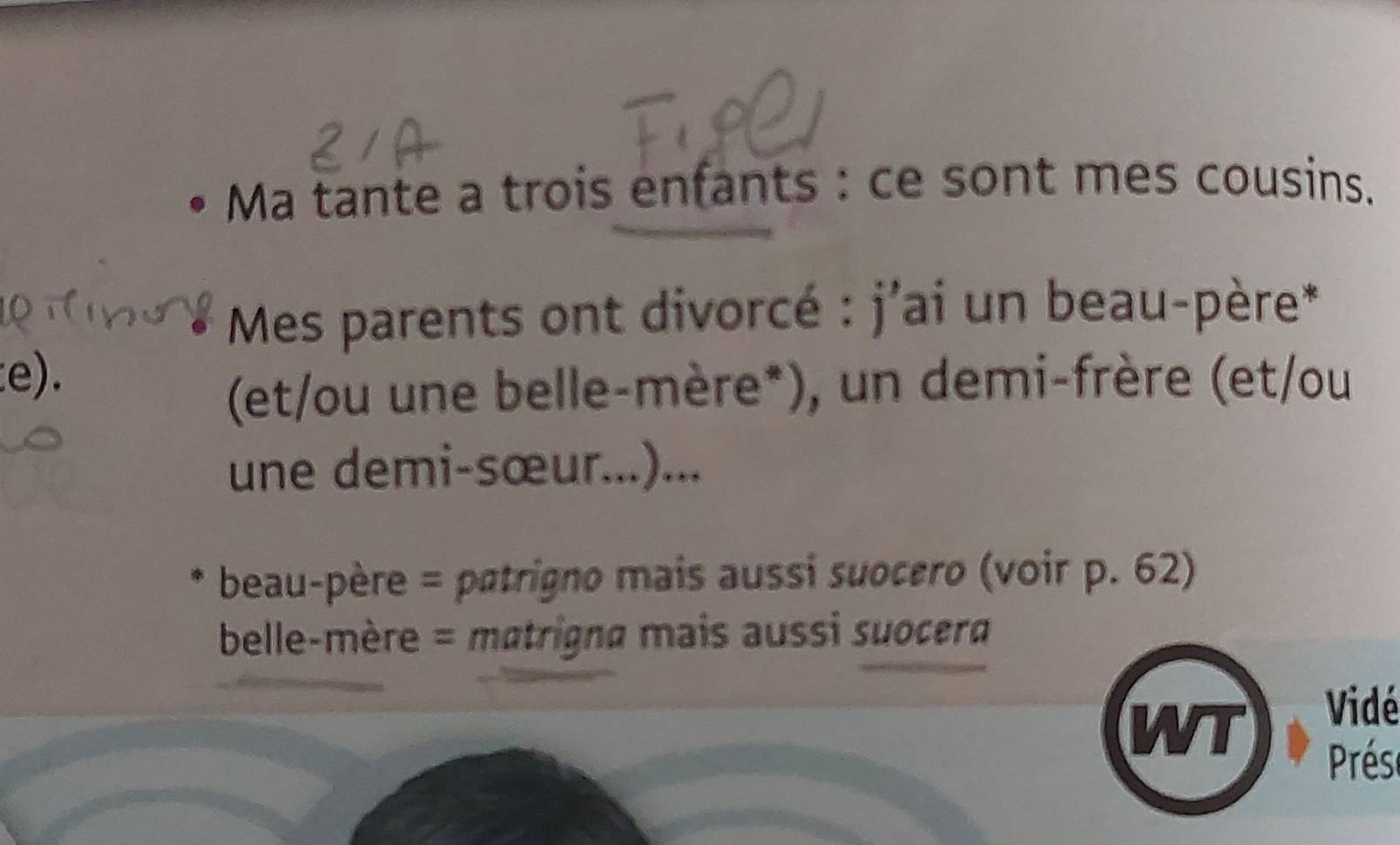 Ma tante a trois enfants : ce sont mes cousins. 
Mes parents ont divorcé : j'ai un beau-père* 
e). 
(et/ou une belle-mère*), un demi-frère (et/ou 
une demi-sœur...)... 
beau-père = patrigno mais aussi suocero (voir p. 62) 
belle-mère = matrigna mais aussi suocera 
WT 
Vidé 
Prés