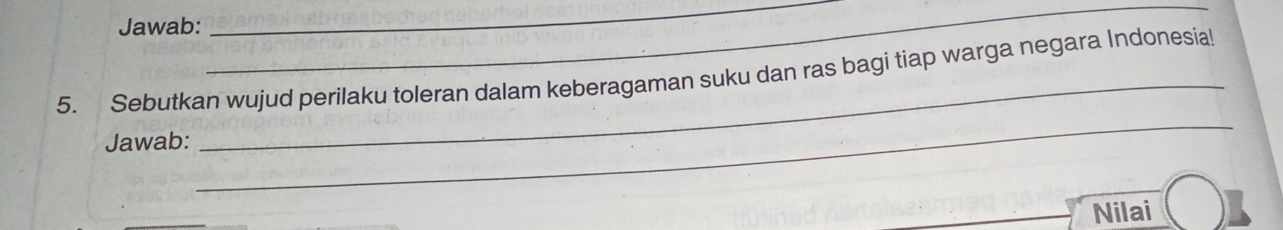 Jawab: 
__ 
5. Sebutkan wujud perilaku toleran dalam keberagaman suku dan ras bagi tiap warga negara Indonesial 
Jawab: 
_ 
_ 
Nilai