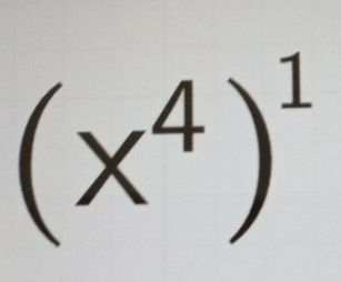 (x^4)^1