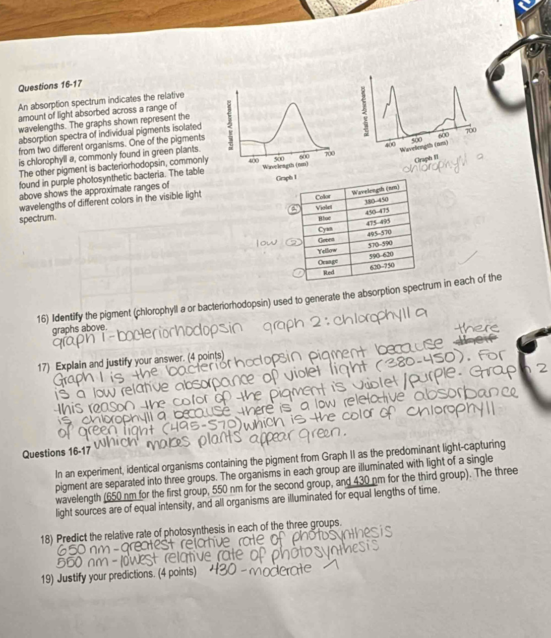 An absorption spectrum indicates the relative
amount of light absorbed across a range of
wavelengths. The graphs shown represent the
absorption spectra of individual pigments isolated
from two different organisms. One of the pigments
Wavelength (nm)
is chlorophyll a, commonly found in green plants.400
The other pigment is bacteriorhodopsin, commonly  s0o 600 700
Graph II
found in purple photosynthetic bacteria. The table
above shows the approximate ranges of
wavelengths of different colors in the visible light
spectrum. 
16) Identify the pigment (chlorophyll a or bacteriorhodopsin) used to generate the absorption speum in each of the
graphs above.
17) Explain and justify your answer. (4 points)
2
Questions 16-17
In an experiment, identical organisms containing the pigment from Graph II as the predominant light-capturing
pigment are separated into three groups. The organisms in each group are illuminated with light of a single
wavelength (650 nm for the first group, 550 nm for the second group, and 430 nm for the third group). The three
light sources are of equal intensity, and all organisms are illuminated for equal lengths of time.
18) Predict the relative rate of photosynthesis in each of the three groups.
19) Justify your predictions. (4 points)