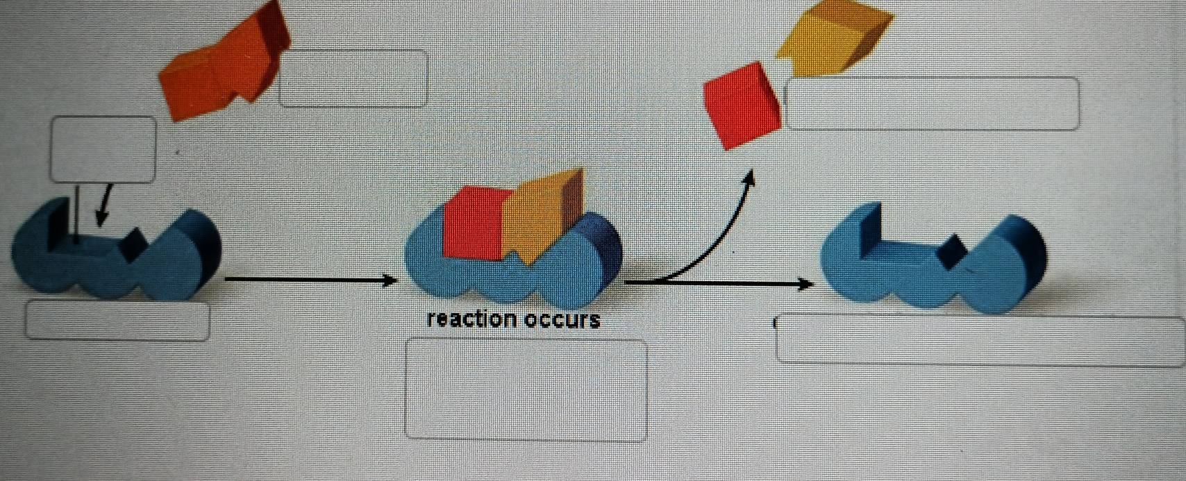 reaction occurs