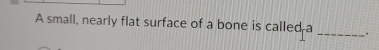 A small, nearly flat surface of a bone is called a _.