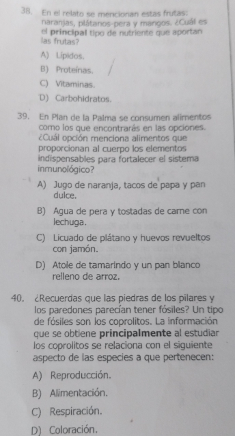 En el relato se mencionan estas frutas:
naranjas, plátanos-pera y mangos. ¿Cuál es
el principal tipo de nutriente que aportan
ias frutas?
A) Lípidos.
B) Proteínas.
C) Vitaminas.
D) Carbohidratos.
39. En Plan de la Palma se consumen alimentos
como los que encontrarás en las opciones.
¿Cuál opción menciona alimentos que
proporcionan al cuerpo los elementos
indispensables para fortalecer el sistema
inmunológico?
A) Jugo de naranja, tacos de papa y pan
dulce.
B) Agua de pera y tostadas de carne con
lechuga .
C) Licuado de plátano y huevos revueltos
con jamón.
D) Atole de tamarindo y un pan blanco
relleno de arroz.
40. ¿Recuerdas que las piedras de los pilares y
los paredones parecían tener fósiles? Un tipo
de fósiles son los coprolitos. La información
que se obtiene principalmente al estudiar
los coprolitos se relaciona con el siguiente
aspecto de las especies a que pertenecen:
A) Reproducción.
B) Alimentación.
C) Respiración.
D) Coloración.