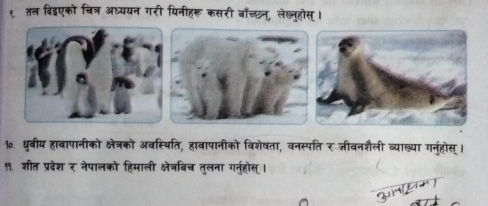 ९. तल बिइएको चित्र अध्ययन गरी यिनीहरू कसरी बॉच्छनू, लेख्नुहोस् । 
१०. ध्रुवीय हावापानीको क्षेत्रको अवस्थिति, हावापानीको विशेषता, वनस्पति र जीवनशैली व्याख्या गर्नुहोस् । 
११. शीत प्रदेश र नेपालको हिमाली क्षेत्रबिच तुलना गर्नुहोस् । 
qn Z