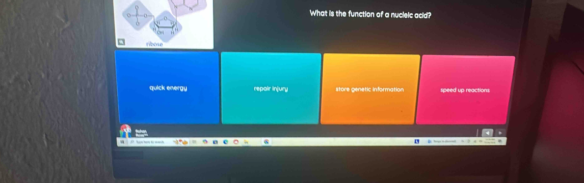 What is the function of a nucleic acid?
quick energy repair injury store genetic information speed up reactions
O type here to search 4 hngs t cast  2