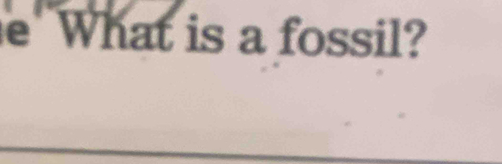 What is a fossil?