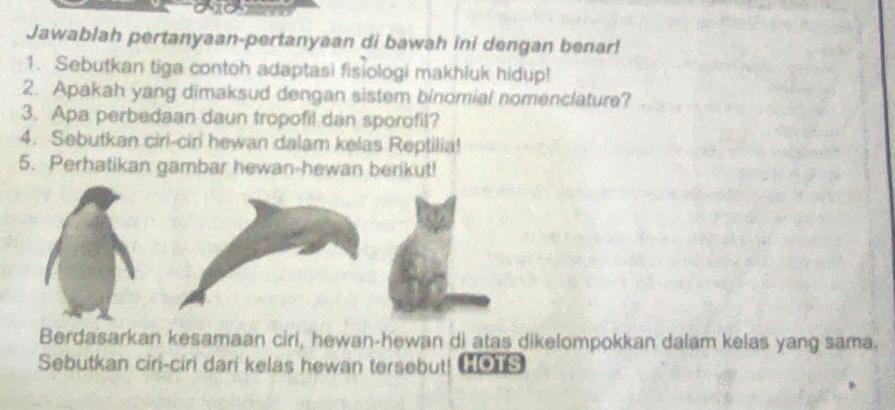 Jawablah pertanyaan-pertanyaan di bawah ini dengan benar! 
1. Sebutkan tiga contoh adaptasi fisiologi makhiuk hidup! 
2. Apakah yang dimaksud dengan sistem binomial nomenclature? 
3. Apa perbedaan daun tropofil dan sporofil? 
4. Sebutkan ciri-ciri hewan dalam kelas Reptilia! 
5. Perhatikan gambar hewan-hewan berikut! 
Berdasarkan kesamaan ciri, hewan-hewan di atas dikelompokkan dalam kelas yang sama. 
Sebutkan ciri-ciri dari kelas hewan tersebut! [□