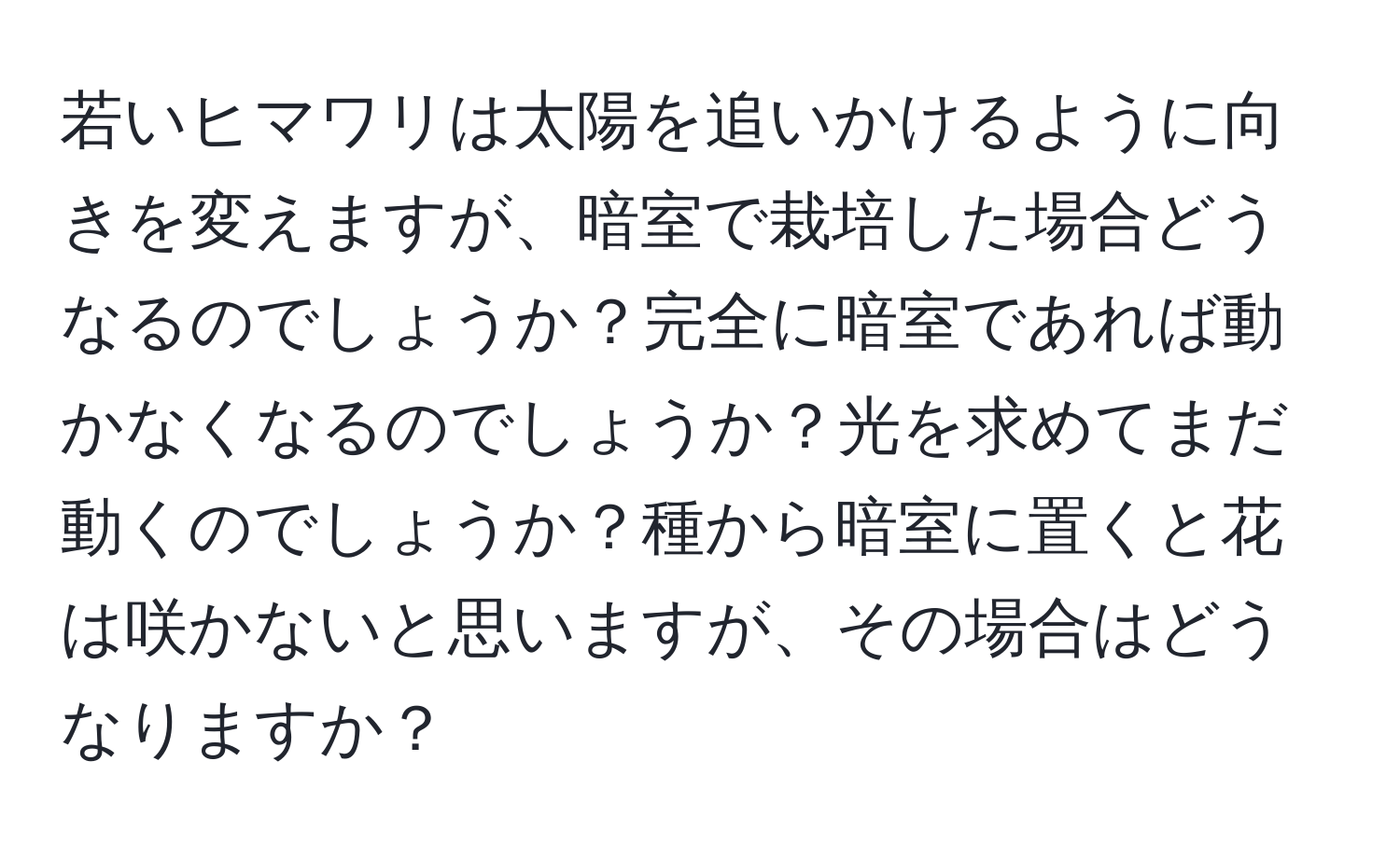 若いヒマワリは太陽を追いかけるように向きを変えますが、暗室で栽培した場合どうなるのでしょうか？完全に暗室であれば動かなくなるのでしょうか？光を求めてまだ動くのでしょうか？種から暗室に置くと花は咲かないと思いますが、その場合はどうなりますか？