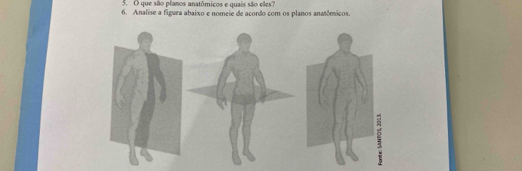 que são planos anatômicos e quais são eles? 
6. Analise a figura abaixo e nomeie de acordo com os planos anatômicos.