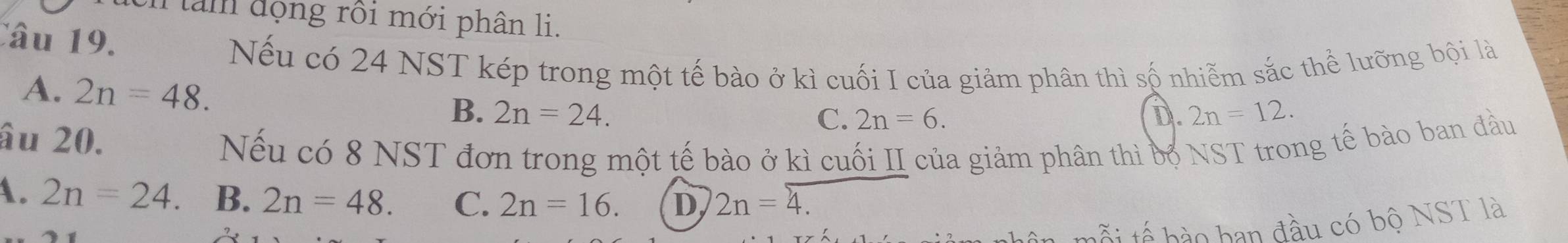 tam đọng rồi mới phân li.
Câu 19.
Nếu có 24 NST kép trong một tế bào ở kì cuối I của giảm phân thì số nhiễm sắc thể lưỡng bội là
A. 2n=48.
B. 2n=24. D. 2n=12. 
âu 20.
C. 2n=6. 
Nếu có 8 NST đơn trong một tế bào ở kì cuối II của giảm phân thì bộ NST trong tế bào ban đầu
A. 2n=24. B. 2n=48. C. 2n=16. D 2n=4. 
mỗi tế hào ban đầu có bộ NST là