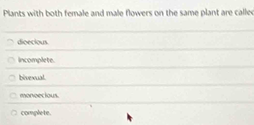 Plants with both female and male flowers on the same plant are called
dioecious
incomplete.
bisexual.
monoecious.
complete.