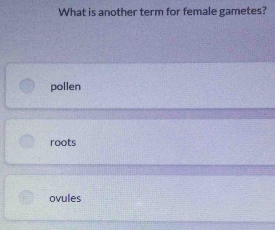 What is another term for female gametes?
pollen
roots
ovules