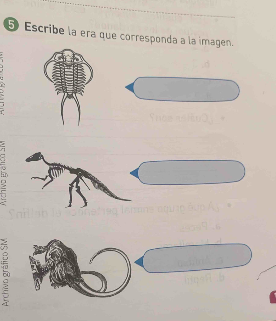 Escribe la era que corresponda a la imagen.
10
r