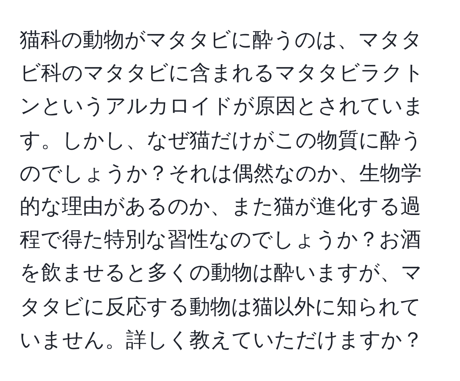 猫科の動物がマタタビに酔うのは、マタタビ科のマタタビに含まれるマタタビラクトンというアルカロイドが原因とされています。しかし、なぜ猫だけがこの物質に酔うのでしょうか？それは偶然なのか、生物学的な理由があるのか、また猫が進化する過程で得た特別な習性なのでしょうか？お酒を飲ませると多くの動物は酔いますが、マタタビに反応する動物は猫以外に知られていません。詳しく教えていただけますか？