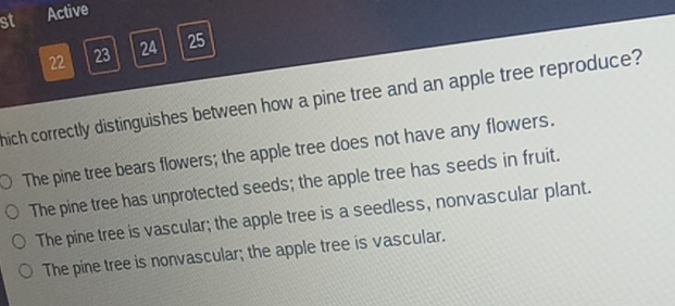 st Active
22 23 24 25
hich correctly distinguishes between how a pine tree and an apple tree reproduce?
The pine tree bears flowers; the apple tree does not have any flowers.
The pine tree has unprotected seeds; the apple tree has seeds in fruit.
The pine tree is vascular; the apple tree is a seedless, nonvascular plant.
The pine tree is nonvascular; the apple tree is vascular.