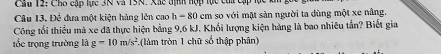 Cầu 12: Cho cập lực 3N và 15N. Xác định hợp lực của cập lực 
Câu 13. Để đưa một kiện hàng lên cao h=80cm so với mặt sản người ta dùng một xe nâng. 
Công tối thiều mà xe đã thực hiện bằng 9, 6 kJ. Khối lượng kiện hàng là bao nhiêu tấn? Biết gia 
tốc trọng trường là g=10m/s^2 F. (làm tròn 1 chữ số thập phân)