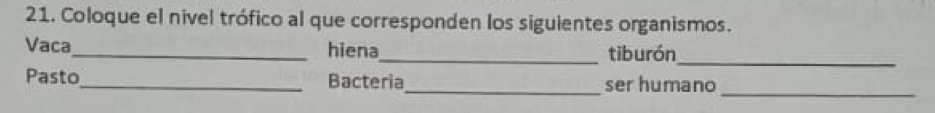 Coloque el nivel trófico al que corresponden los siguientes organismos. 
Vaca_ hiena_ tiburón 
_ 
Pasto_ Bacteria_ ser humano 
_