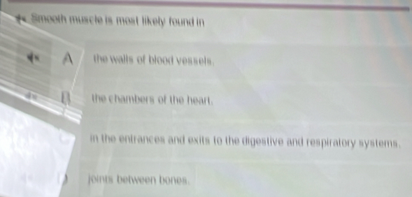 Smooth muscle is most likely found in
the walls of blood vessels.
the chambers of the heart.
in the entrances and exits to the digestive and respiratory systems.
joints between bones.