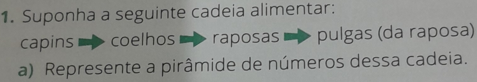 Suponha a seguinte cadeia alimentar: 
capins coelhos raposas pulgas (da raposa) 
a) Represente a pirâmide de números dessa cadeia.