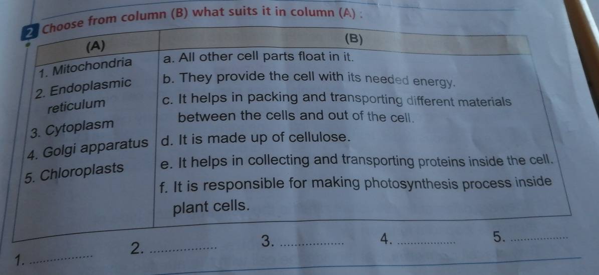 lumn (B) what suits it in column (A) : 
_ 
1.