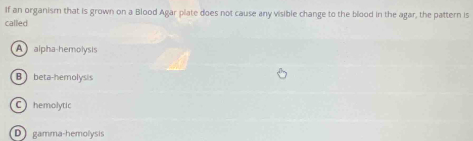 If an organism that is grown on a Blood Agar plate does not cause any visible change to the blood in the agar, the pattern is
called
A alpha-hemolysis
Bbeta-hemolysis
C hemolytic
D gamma-hemolysis