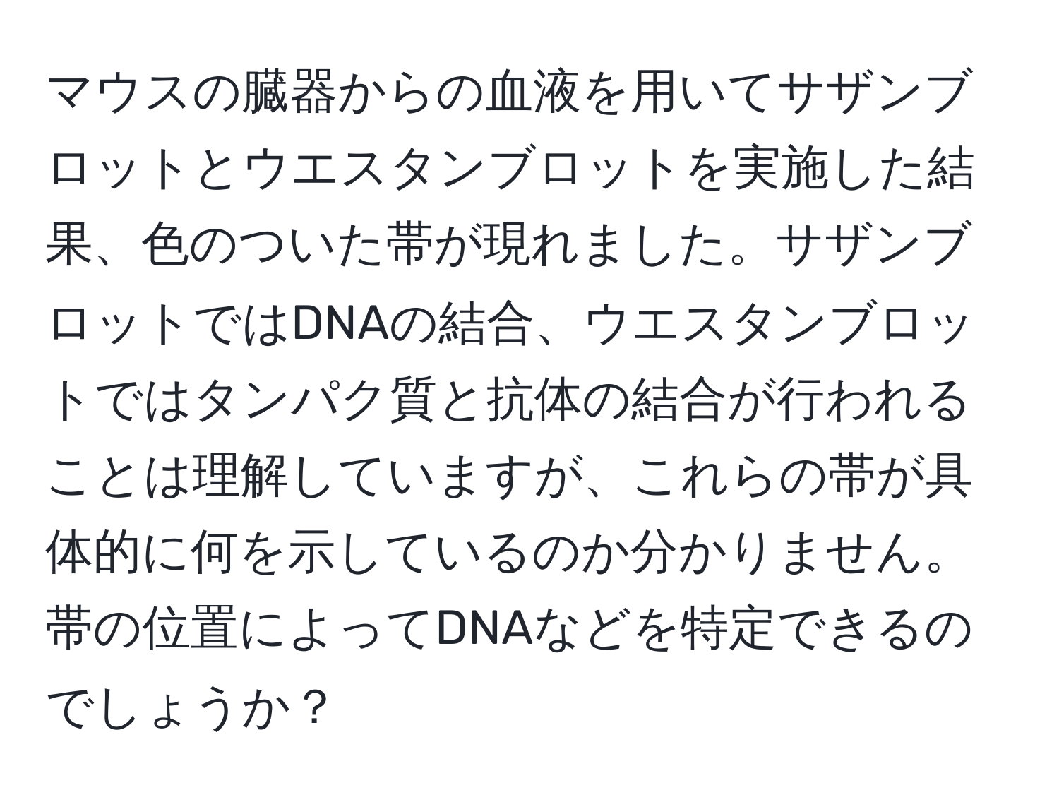 マウスの臓器からの血液を用いてサザンブロットとウエスタンブロットを実施した結果、色のついた帯が現れました。サザンブロットではDNAの結合、ウエスタンブロットではタンパク質と抗体の結合が行われることは理解していますが、これらの帯が具体的に何を示しているのか分かりません。帯の位置によってDNAなどを特定できるのでしょうか？