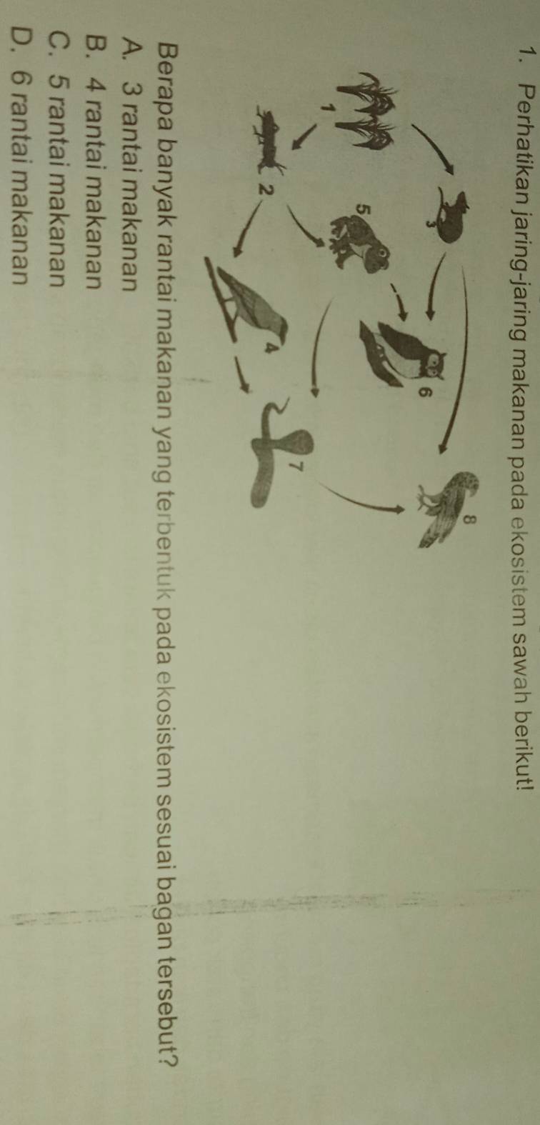 Perhatikan jaring-jaring makanan pada ekosistem sawah berikut!
Berapa banyak rantai makanan yang terbentuk pada ekosistem sesuai bagan tersebut?
A. 3 rantai makanan
B. 4 rantai makanan
C. 5 rantai makanan
D. 6 rantai makanan