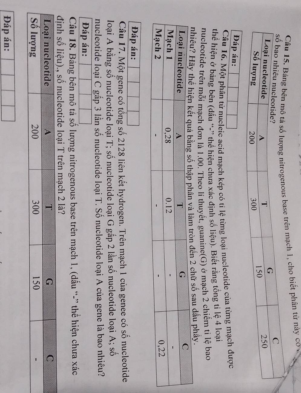 Câu ên mạch 1, cho biết phân tử này có ở 
Đáp án: 
Câu 16. Một phân tử nucleic acid mạch kép có tỉ lệ từng loại nucleotide của từng mạch được 
thể hiện ở bảng bên (dấu “-” thể hiện chưa xác định số liệu). Biết rằng tổng tỉ lệ 4 loại 
nucleotide trên mỗi mạch đơn là 1.00. Theo lí thuyết, guanine(G) ở mạch 2 chiếm tỉ lệ bao 
số sau dấu phầy. 
Đáp án: 
Câu 17. Một gene có tổng số 2128 liên kết hydrogen. Trên mạch 1 của genee có số nucleotide 
loại A bằng số nucleotide loại T; số nucleotide loại G gấp 2 lần số nucleotide loại A; số 
nucleotide loại C gấp 3 lần số nucleotide loại T. Số nucleotide loại A của gene là bao nhiêu? 
Đáp án: 
Câu 18. Bảng bên mô tả số lượng nitrogenous base trên mạch 1, (dấu “-” thể hiện chưa xác 
T trên mạch 2 là? 
Đáp án: