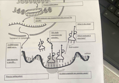 Process taking pl