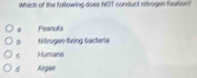 Which of the following does NOT conduct nitrogen fuation?
8 Peards
Nitrogen tuing bacteria
C Humanis
Aras