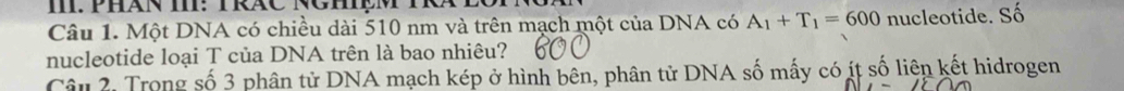 PHáN I: TRÁC NCHệM TR 
Câu 1. Một DNA có chiều dài 510 nm và trên mạch một của DNA có A_1+T_1=600 nucleotide. Số 
nucleotide loại T của DNA trên là bao nhiêu? 
Câu 2. Trong số 3 phân tử DNA mạch kép ở hình bên, phân tử DNA số mấy có ít số liên kết hidrogen