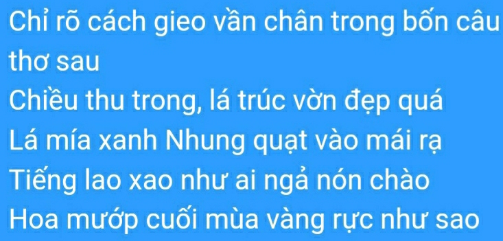 Chỉ rõ cách gieo vần chân trong bốn câu 
thơ sau 
Chiều thu trong, lá trúc vờn đẹp quá 
Lá mía xanh Nhung quạt vào mái rạ 
Tiếng lao xao như ai ngả nón chào 
Hoa mướp cuối mùa vàng rực như sao