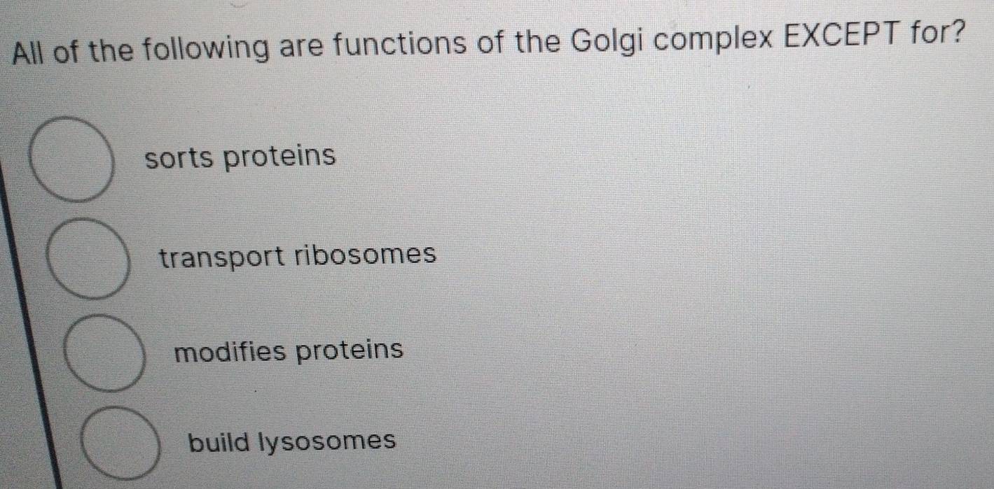 All of the following are functions of the Golgi complex EXCEPT for?
sorts proteins
transport ribosomes
modifies proteins
build lysosomes