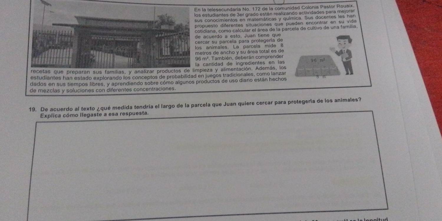 la telesecundaria No. 172 de la comunidad Colonia Pastor Rouaix, 
estudiantes de 3er grado están realizando actividades para mejorar 
s conocimientos en matemáticas y química. Sus docentes les han 
opuesto diferentes sítuaciones que pueden encontrar en su vida 
tidiana, como calcular el área de la parcela de cultivo de una família, 
acuerdo a esto, Juan tiene que 
rcar su parcela para protegería de 
animales. La parcela mide 8
etros de ancho y su área total es de
96m^2. También, deberán comprender 
cantidad de ingredientes en las 9 6 m²
ieza y alimentación. Además, los 
estudiantes han estado explorando los conceptos de probabilidad en juegos tradicionales, como lanzar 
dados en sus tiempos libres, y aprendiendo sobre cómo algunos productos de uso diario están hechos
8 m
de mezclas y soluciones con diferentes concentraciones. 
19. De acuerdo al texto ¿qué medida tendría el largo de la parcela que Juan quiere cercar para protegerla de los animales? 
Explica cómo llegaste a esa respuesta.