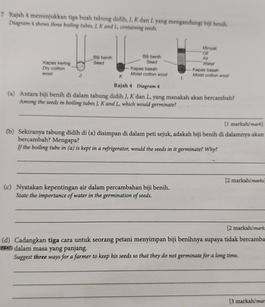 Rajah 4 menunjukkan tiga buah tabung didih, J, K dan L yang mengandungi biji benih. 
Diagram 4 shows three boiling tubes, J, K and L, containing seeds. 
(a) Antara biji benih di dalam tabung didih J, K dan L, yang manakah akan bercambah? 
Among the seeds in boiling tubes J, K and L, which would germinate? 
_ 
[1 markah/mark] 
(b) Sekiranya tabung didih di (a) disimpan di dalam peti sejuk, adakah biji benih di dalamnya akan 
bercambah? Mengapa? 
If the boiling tube in (a) is kept in a refrigerator, would the seeds in it germinate? Why? 
_ 
_ 
[2 markah/marks 
(c) Nyatakan kepentingan air dalam percambahan biji benih. 
State the importance of water in the germination of seeds. 
_ 
_ 
[2 markah/mark 
(d) Cadangkan tiga cara untuk seorang petani menyimpan biji benihnya supaya tidak bercamba 
KBAD dalam masa yang panjang. 
Suggest three ways for a farmer to keep his seeds so that they do not germinate for a long time. 
_ 
_ 
_ 
[3 markah/mar