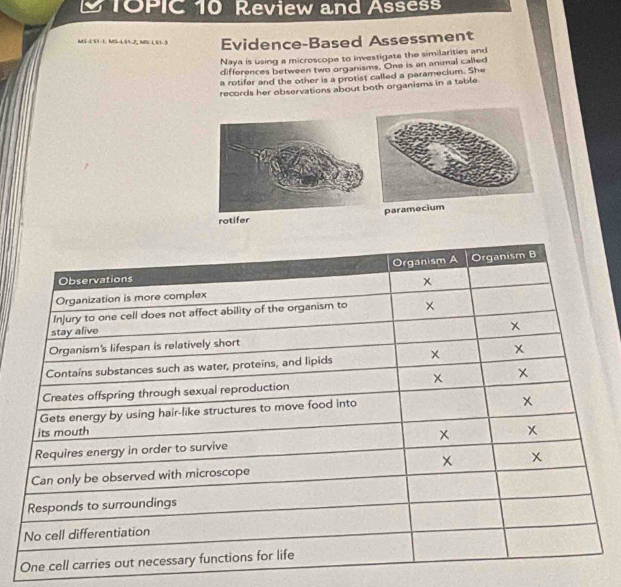 TOPIC 10 Review and Assess 
MS-LS1-1, MS-LS1-2, MS-LST-3 Evidence-Based Assessment 
Naya is using a microscope to investigate the similarities and 
differences between two organisms. One is an animal called 
a rotifer and the other is a protist called a paramecium. She 
records her observations about both organisms in a table 
rotifer param