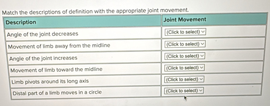 Mte joint movement.