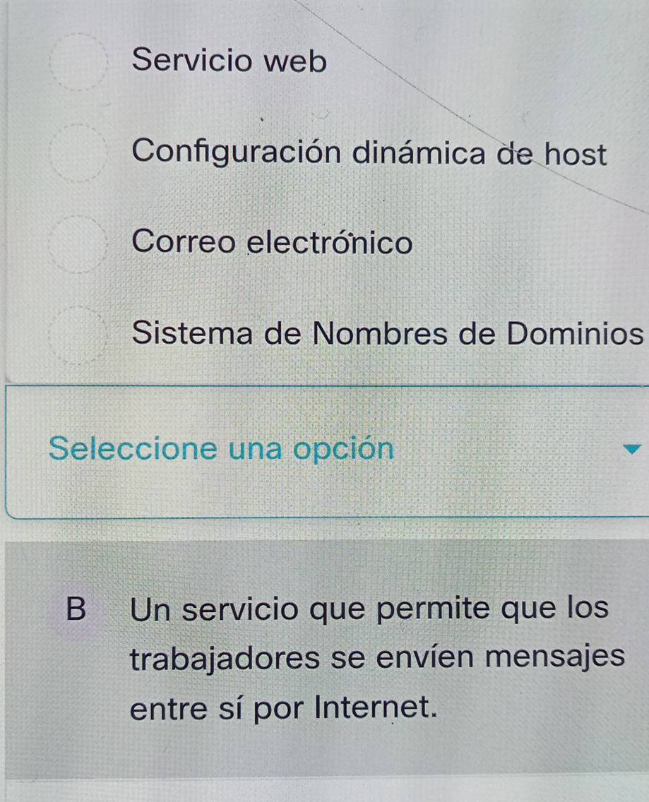 Servicio web
Configuración dinámica de host
Correo electrónico
Sistema de Nombres de Dominios
Seleccione una opción
B Un servicio que permite que los
trabajadores se envíen mensajes
entre sí por Internet.