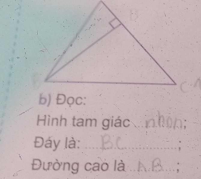 Đọc: 
Hình tam giác .. 


Đáy là:_ 
Đường cao là _““_ 
_