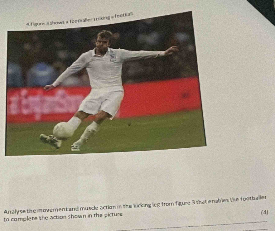 Analyse the movementand muscle action in the kicking leg from figure 3 that enables the footballer 
to complete the action shown in the picture 
(4)