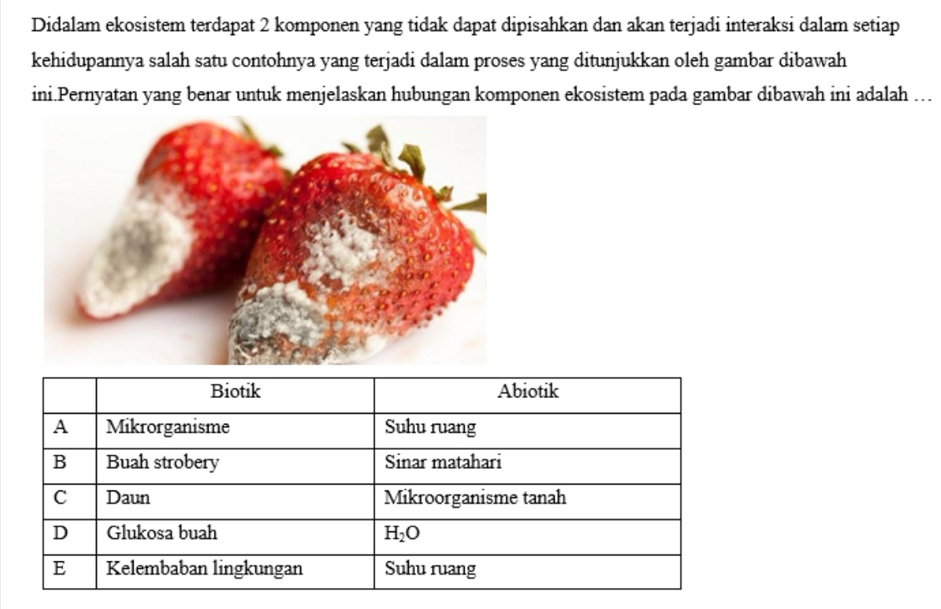 Didalam ekosistem terdapat 2 komponen yang tidak dapat dipisahkan dan akan terjadi interaksi dalam setiap
kehidupannya salah satu contohnya yang terjadi dalam proses yang ditunjukkan oleh gambar dibawah
ini.Pernyatan yang benar untuk menjelaskan hubungan komponen ekosistem pada gambar dibawah ini adalah …