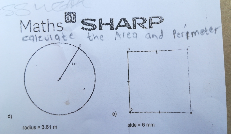 Maths at SHAI 
d) 
e) 
radius =3.61m side =6mm