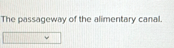 The passageway of the alimentary canal.